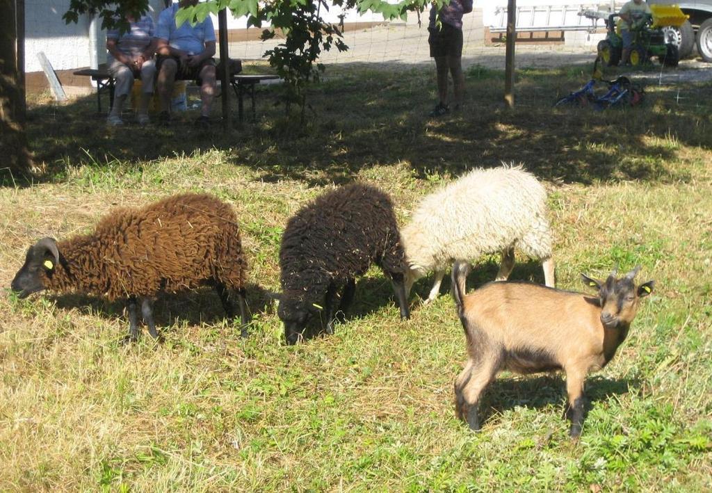 Gasthof Zur Krone Denkendorf  Bagian luar foto